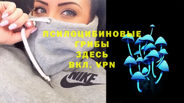 a pvp Армянск