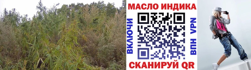 ТГК THC oil  Рыльск 