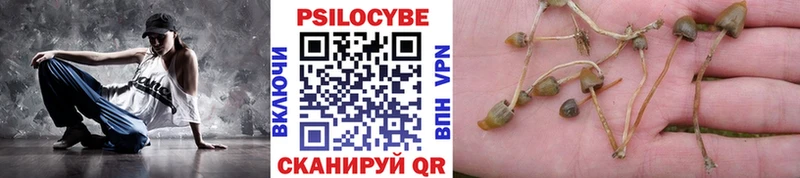 где продают наркотики Рыльск Псилоцибиновые грибы Psilocybine cubensis